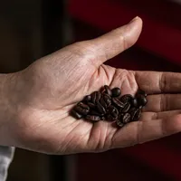 coffee-doesnt-just-wake-you-upa-key-biological-pathway-illuminates-widespread-he-47995757