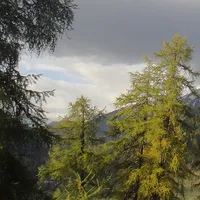 瑞士空中救援组织 Rega 的应急无线电