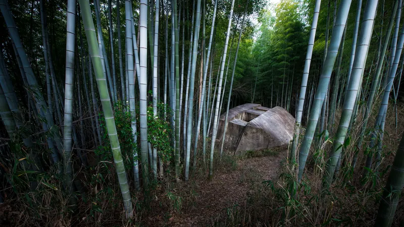 益田岩船（ますだのいわぶね）の謎