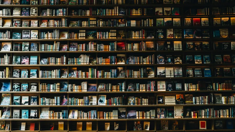 Writing for humans is the only SEO trick left | Pith & Pip